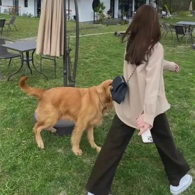 致命时刻